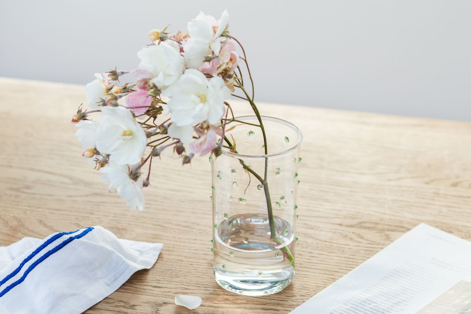 Glass Highball Glass