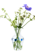 Issy Granger Glass Bud Vase Large with blue dots 