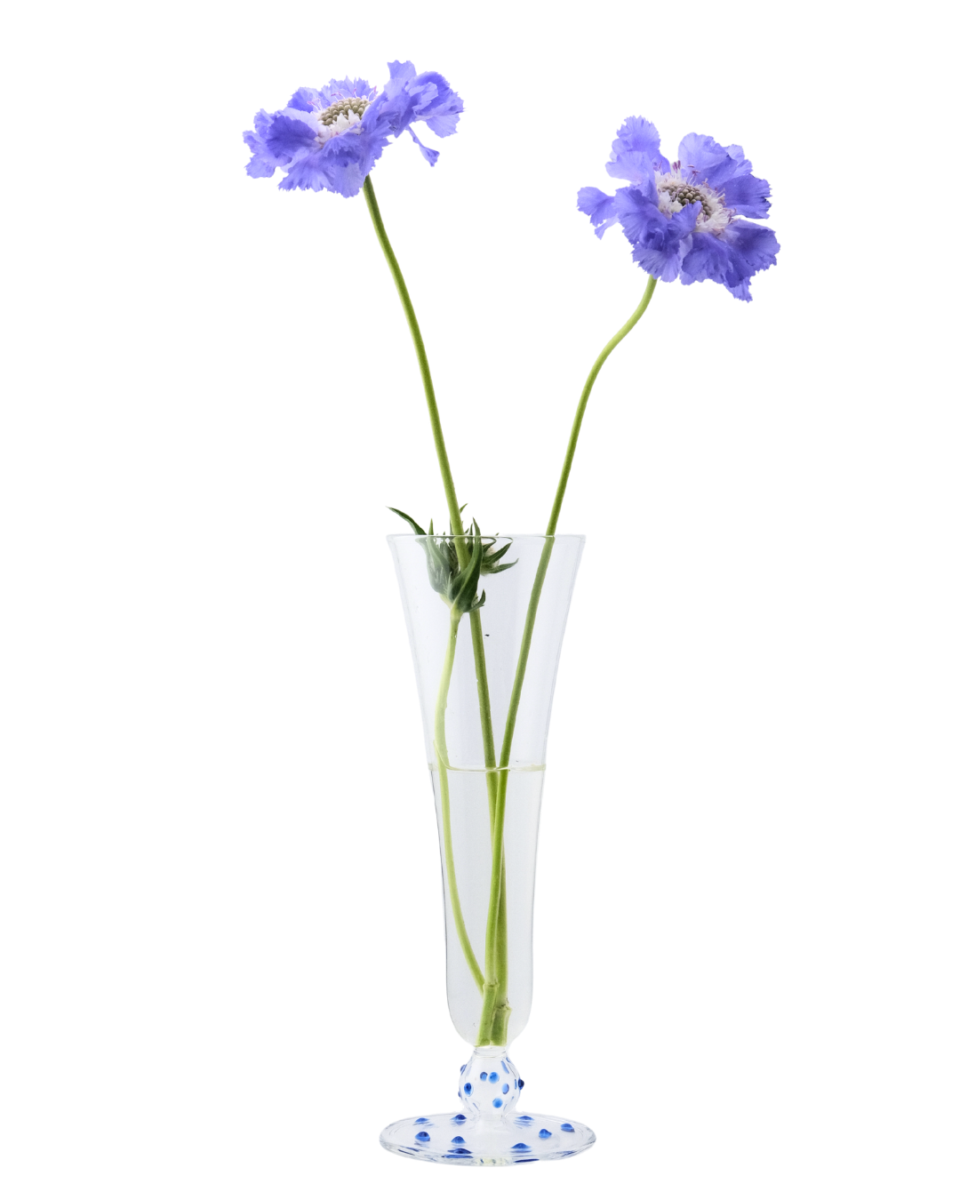 Long Stem Glass Vase