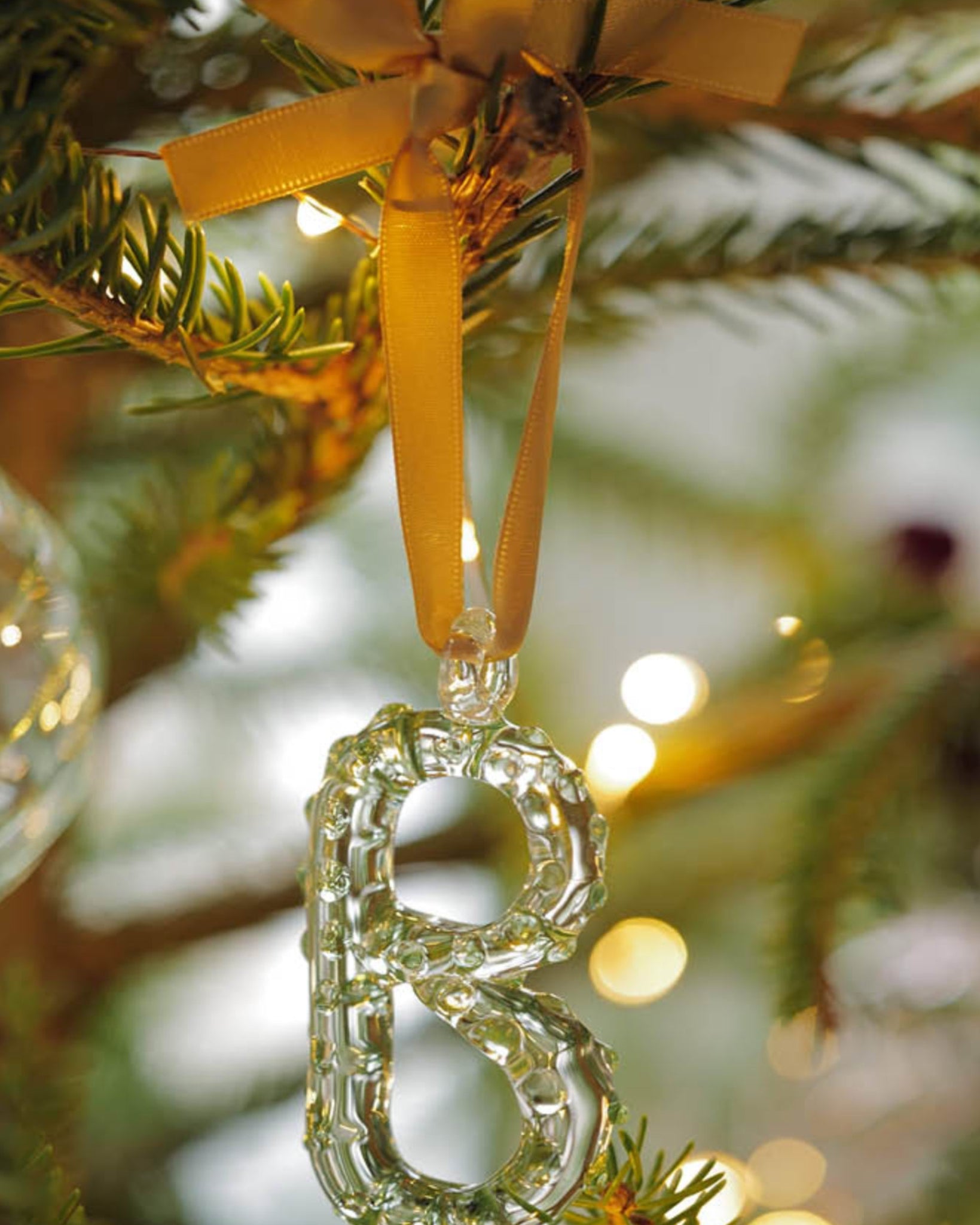 A-Z Alphabet Ornaments B-2