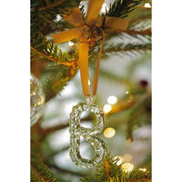 A-Z Alphabet Ornaments B-2