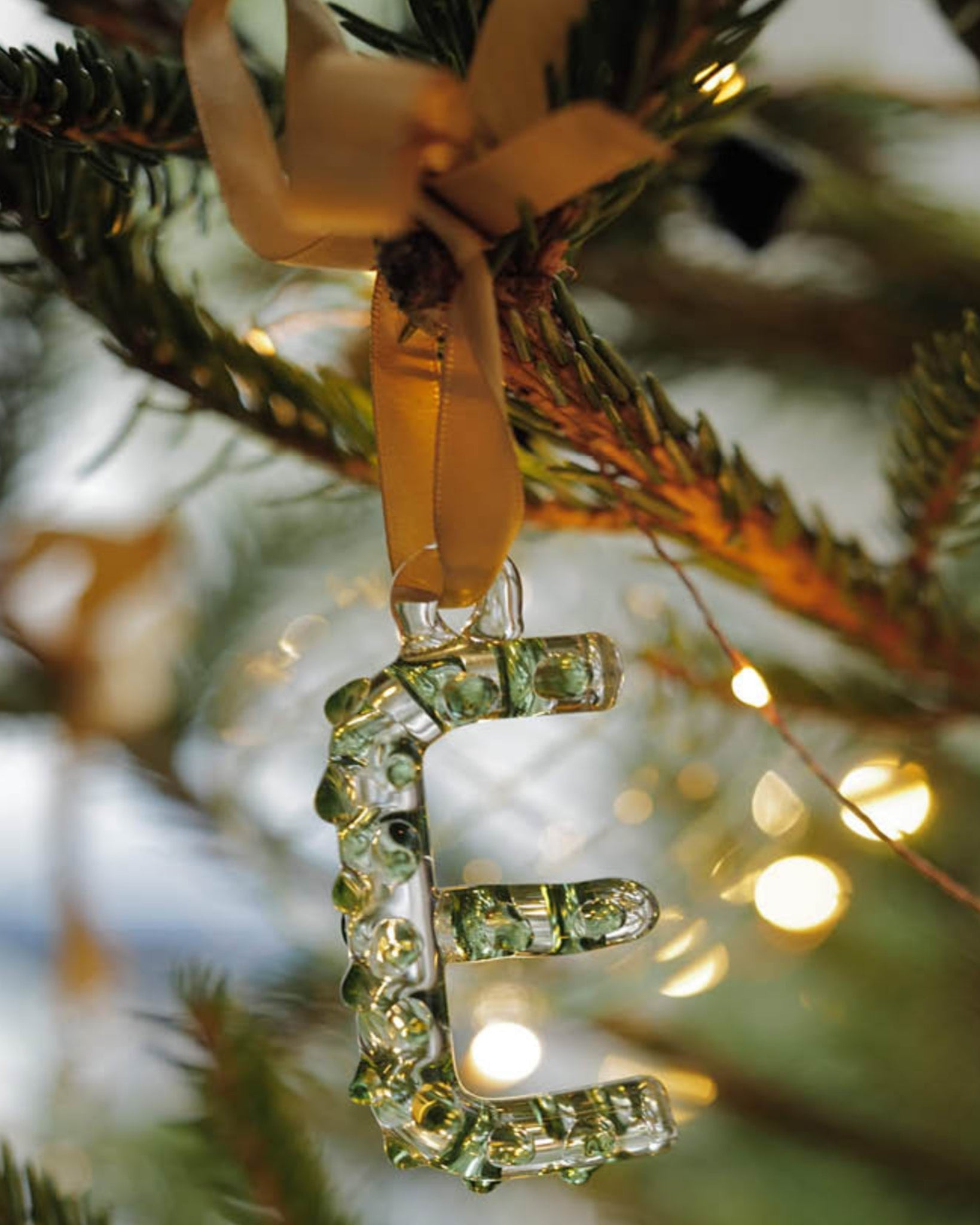 A-Z Alphabet Ornaments E-2