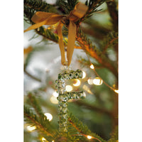 A-Z Alphabet Ornaments F-2