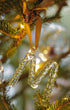 Alphabet_Ornaments_M-2