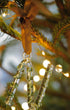 Alphabet_Ornaments_N-2