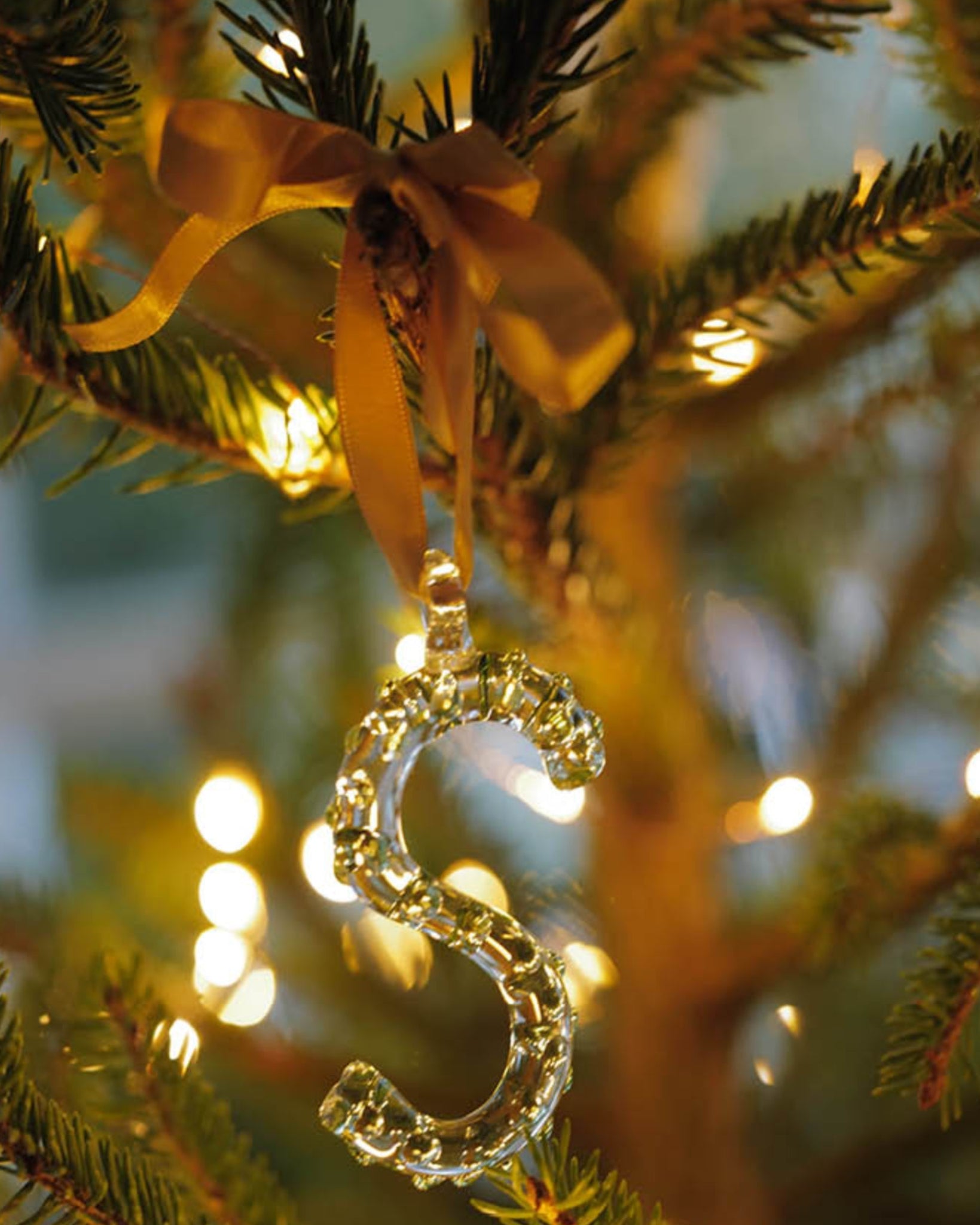 Alphabet_Ornaments_S-2