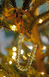 Alphabet_Ornaments_U-2