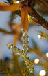Alphabet_Ornaments_Y-2