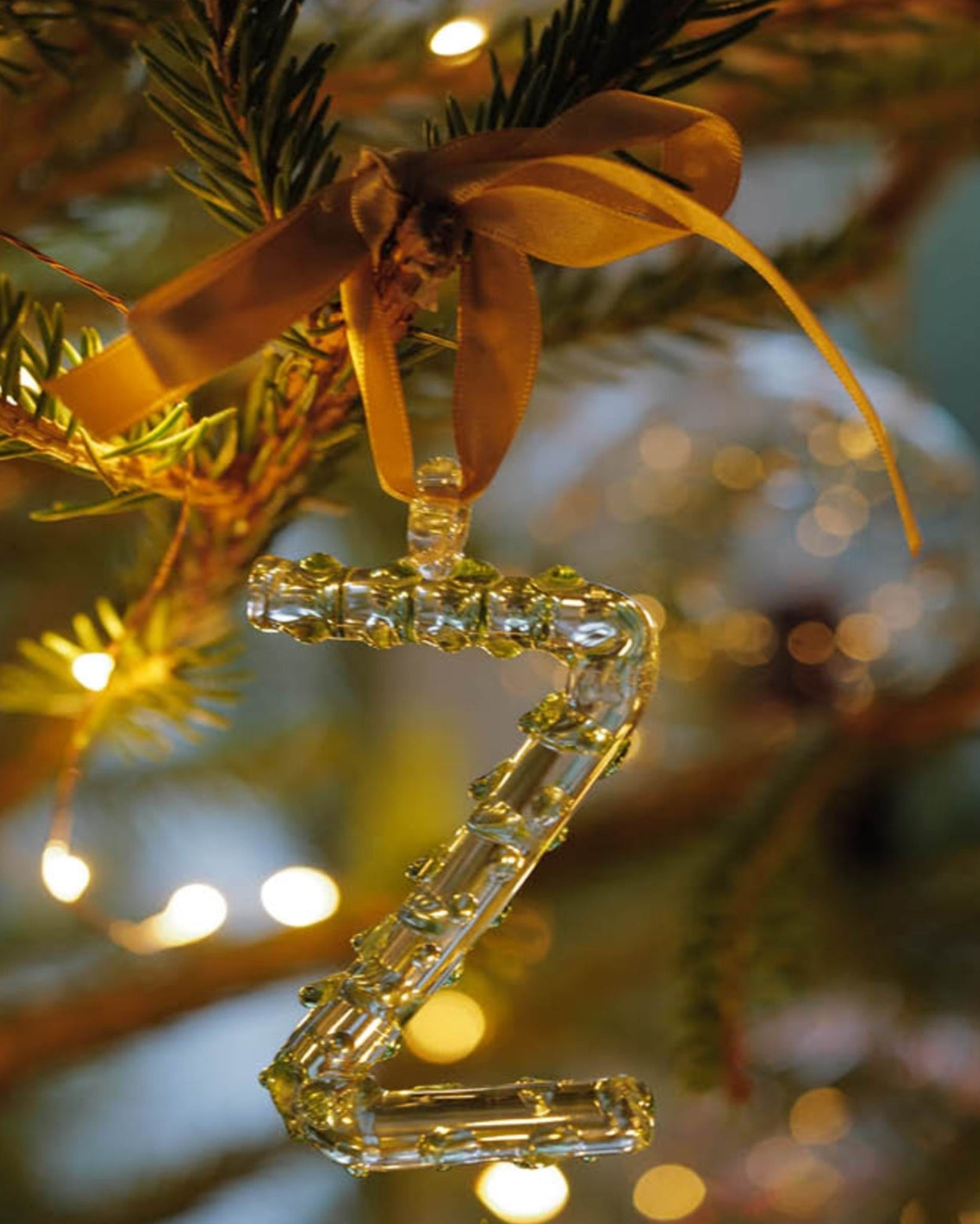 Alphabet_Ornaments_Z-2